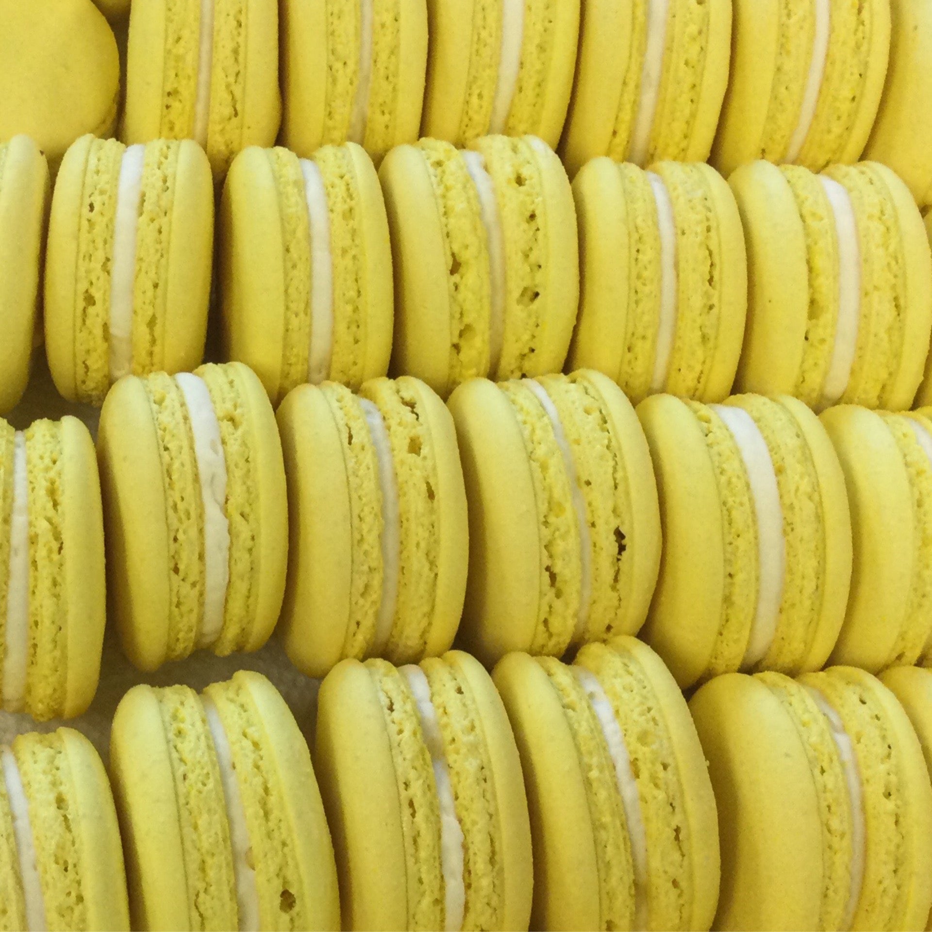 macaronです♪ Yuzu Macaron | la rose patisserie